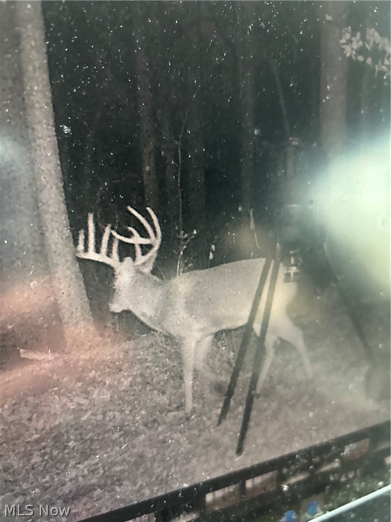 22681 Lexington Road, Alliance, OH - Photo 5