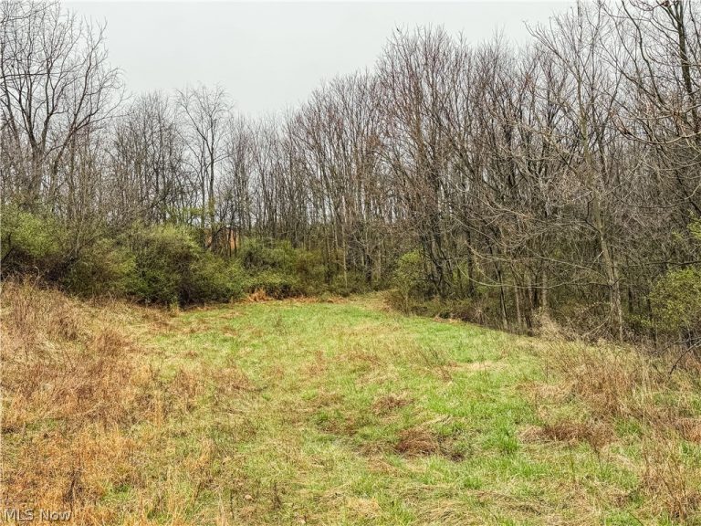 Buck Hill Road, Frazeysburg, OH - Photo 2
