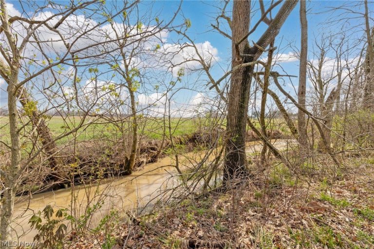 2554 Dry Lane Road, La Rue, OH - Photo 6