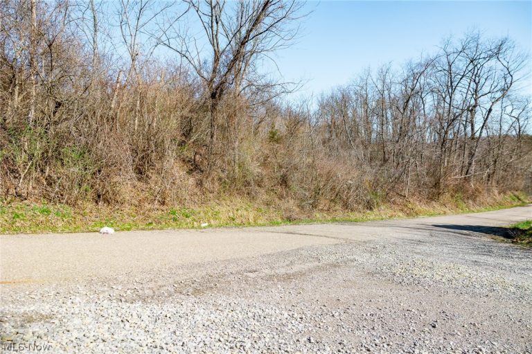 Township Road 135, Dillonvale, OH - Photo 6