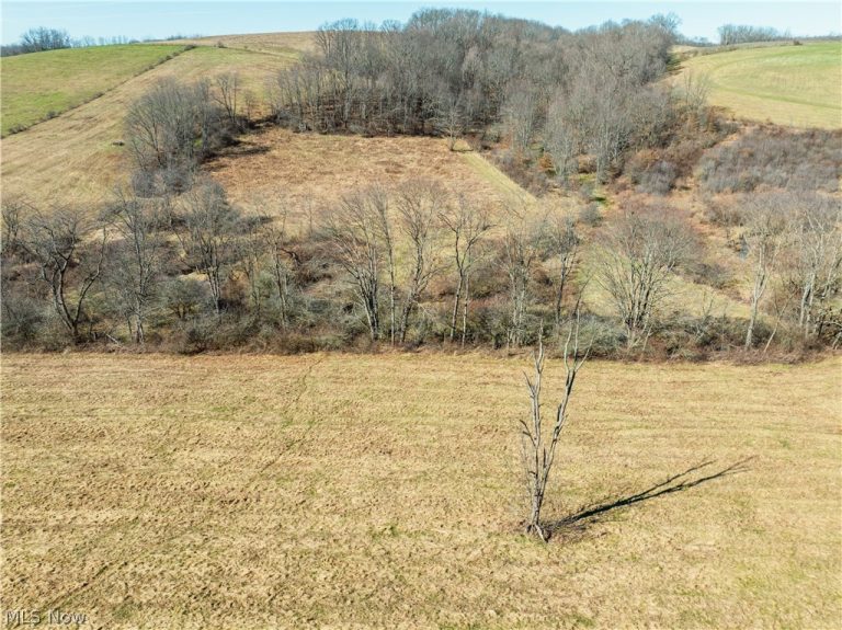 Eckley Road, Jewett, OH - Photo 5