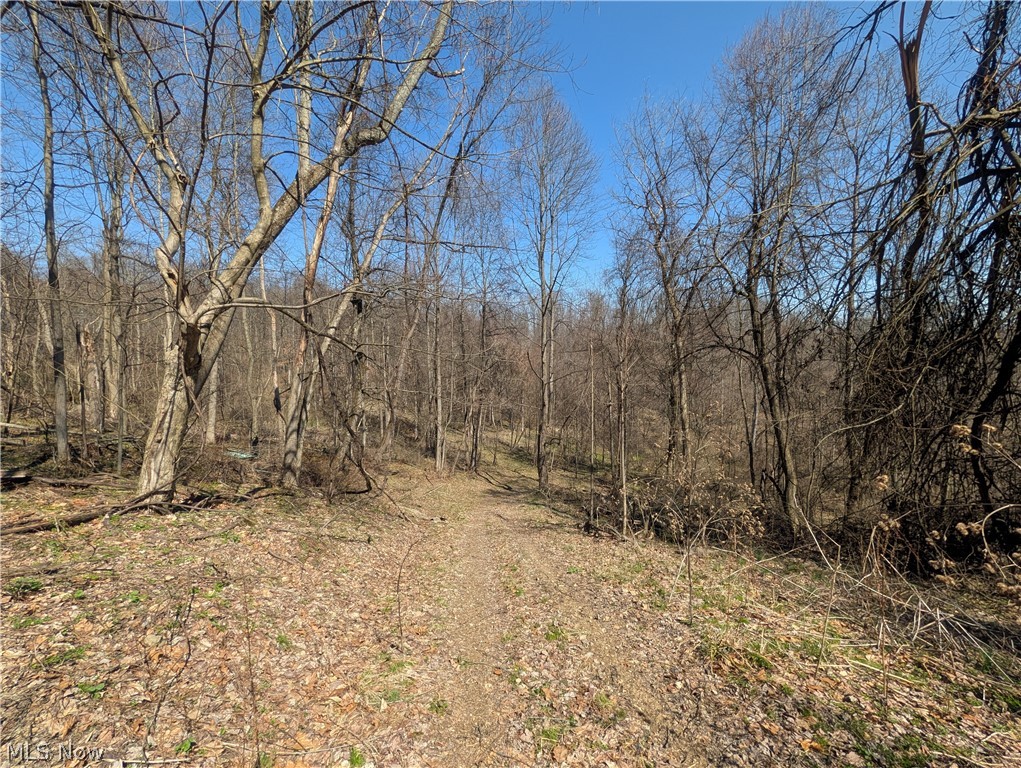 Township Road 289, Hammondsville, OH