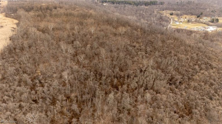 Mt. Victory Road, Powhatan Point, OH - Photo 4