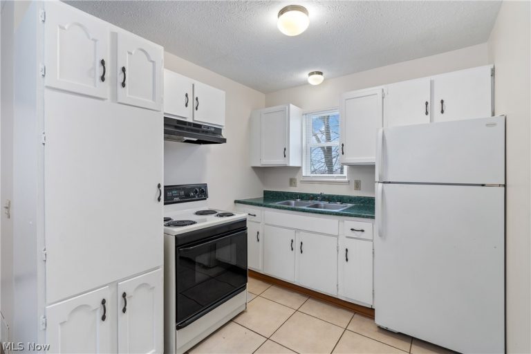 732 Vernon Odom Boulevard, Akron, OH - Photo 3