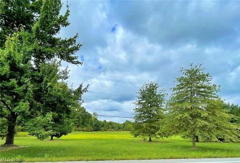 State Route 113, Wakeman, OH - Photo 3
