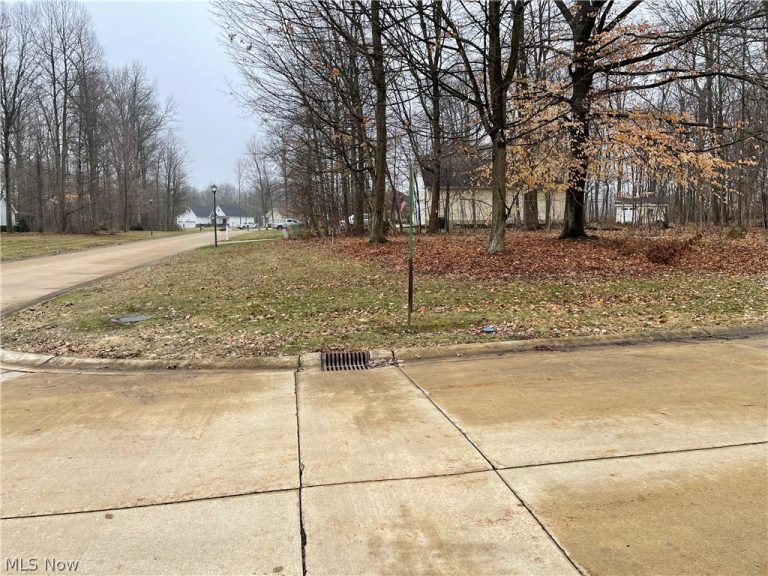 V/L 260 Stony Brook Lane, Wakeman, OH - Photo 8