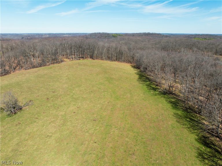 91100 Eckley Road, Jewett, OH - Photo 2
