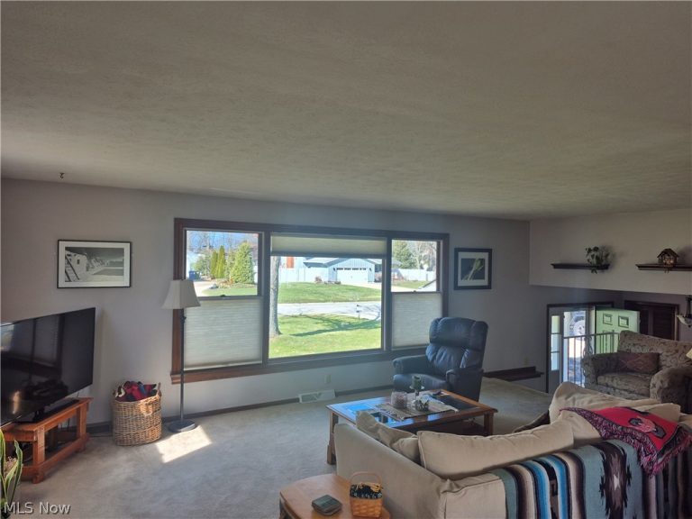 707 Lincoln Street, Amherst, OH - Photo 8