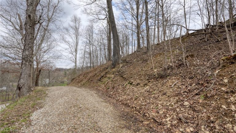 12040 Robins Road, Byesville, OH - Photo 5