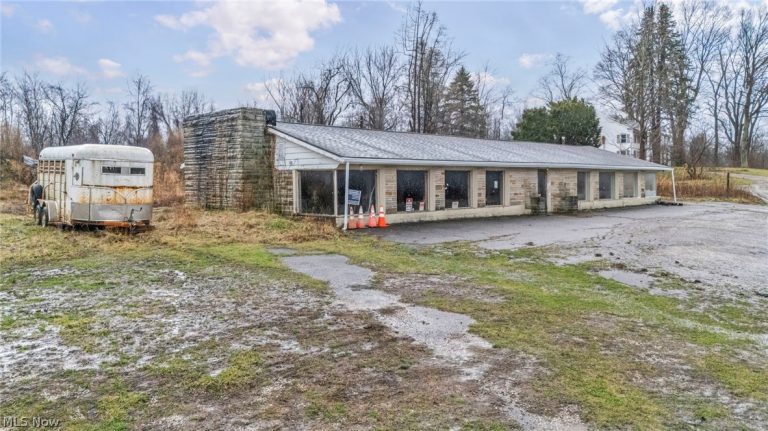 9580 & 9582 North Ridge Road, Geneva, OH, 44041