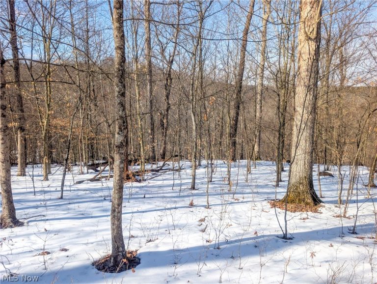 0 Tract 16 Ch 59, Cutler, OH - Photo 5