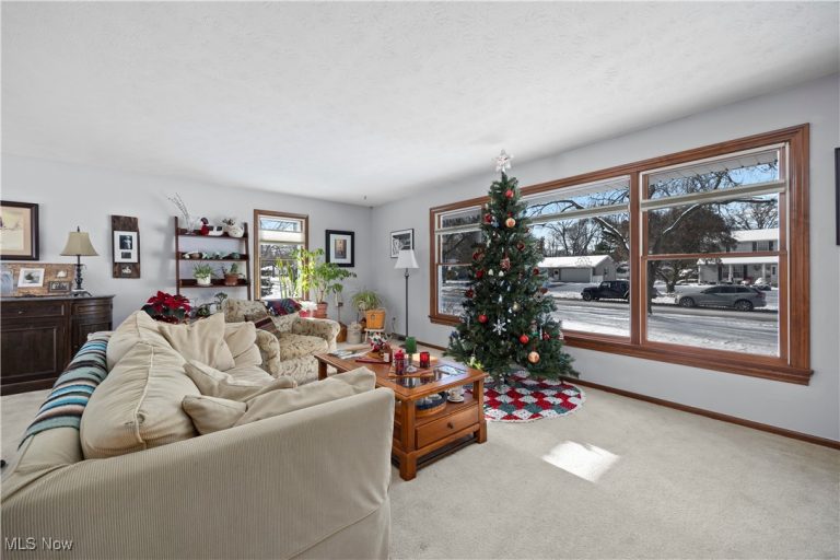 707 Lincoln Street, Amherst, OH - Photo 5