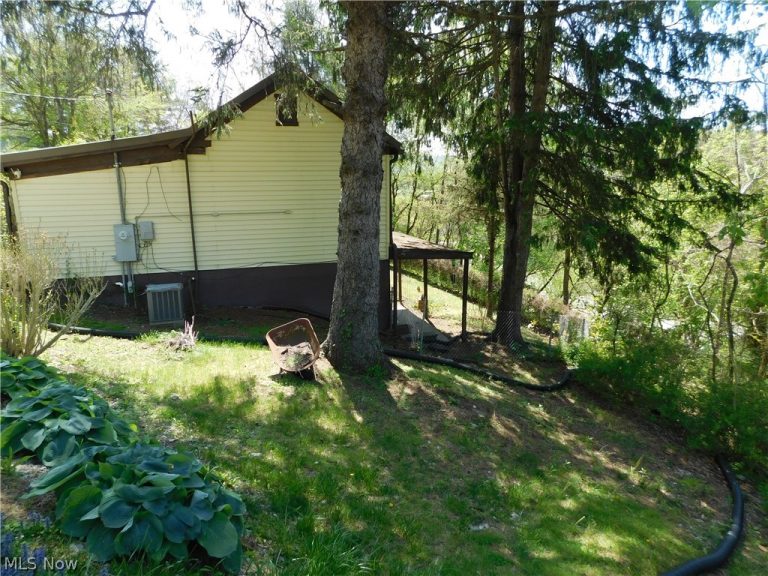 68250 Wrixon Road, Bridgeport, OH - Photo 4