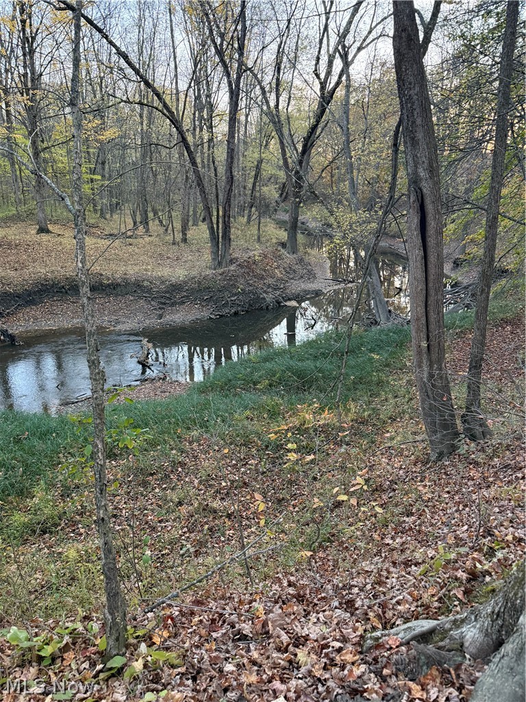 8670 Fortney Road, Orwell, OH - Photo 8