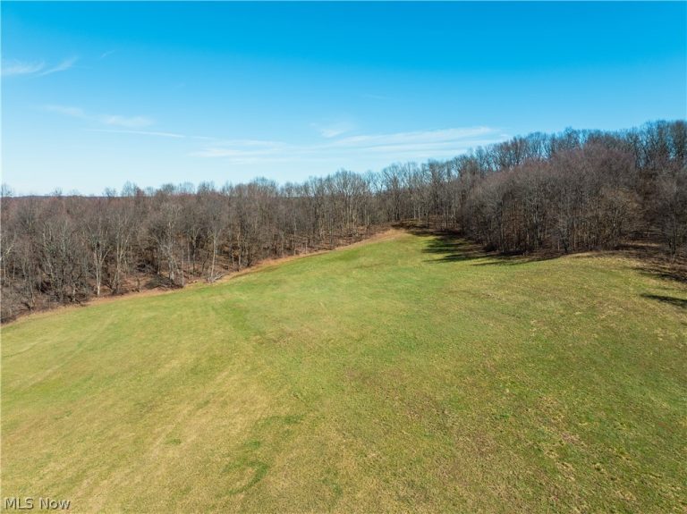 Burrier Road, Jewett, OH - Photo 2