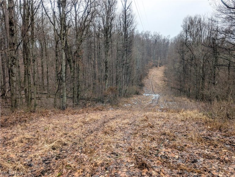 Tract 9 Township RD 272, Lewisville, OH - Photo 6