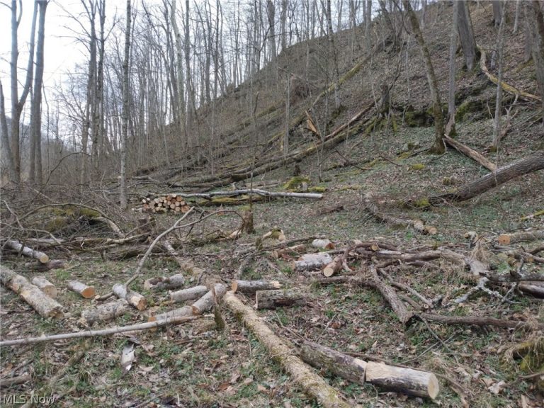 Route 119, Clendenin, WV - Photo 6