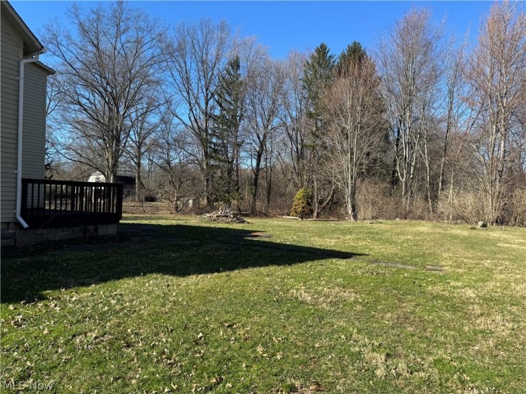 26958 Schady Road, Olmsted Twp, OH - Photo 2