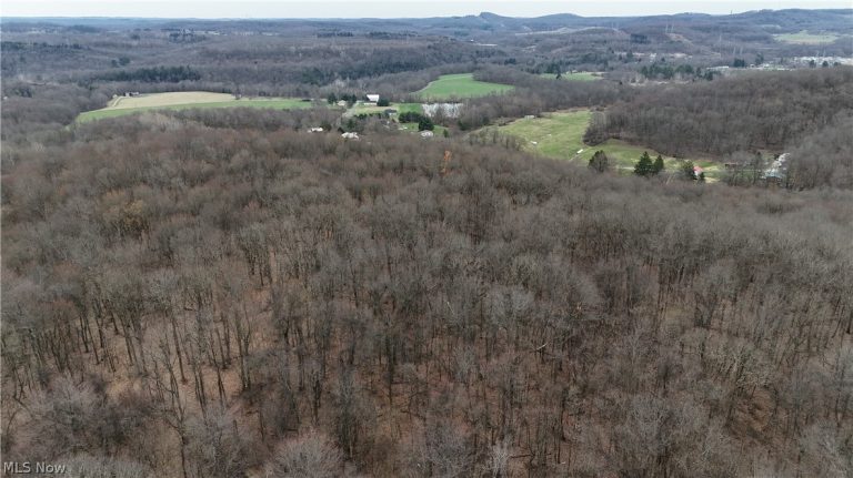 Cream Ridge Road, Lisbon, OH - Photo 4