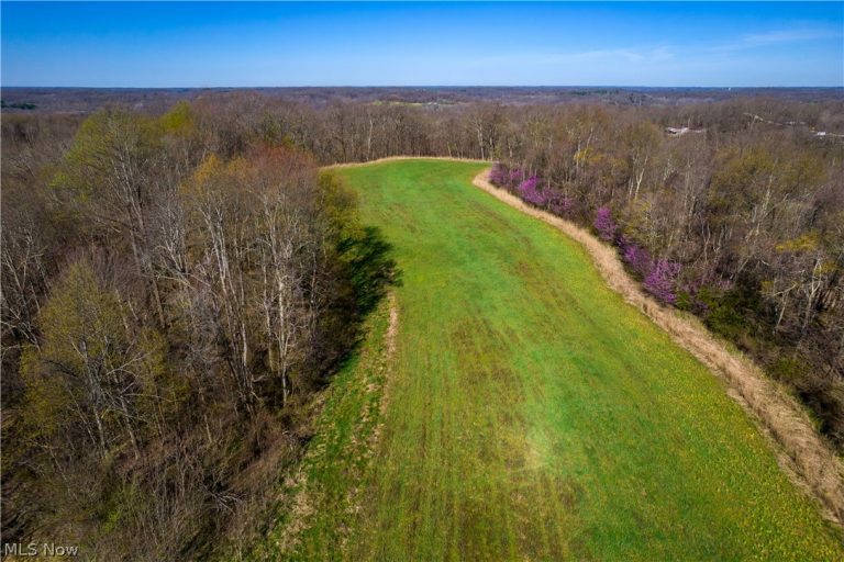 Sealover Hollow Rd Road, Philo, OH, 43771