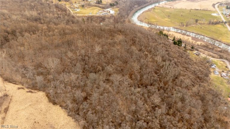 Mt. Victory Road, Powhatan Point, OH - Photo 8