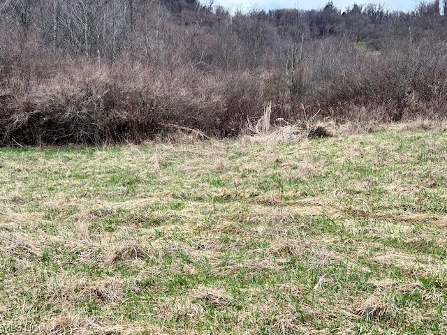 Johnson Bethel Road, Barnesville, OH - Photo 6