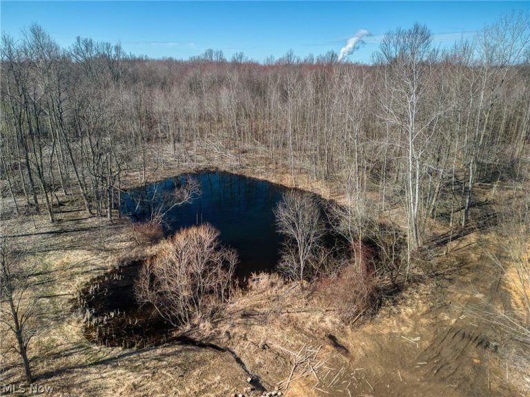 County Line Road, Madison, OH - Photo 8