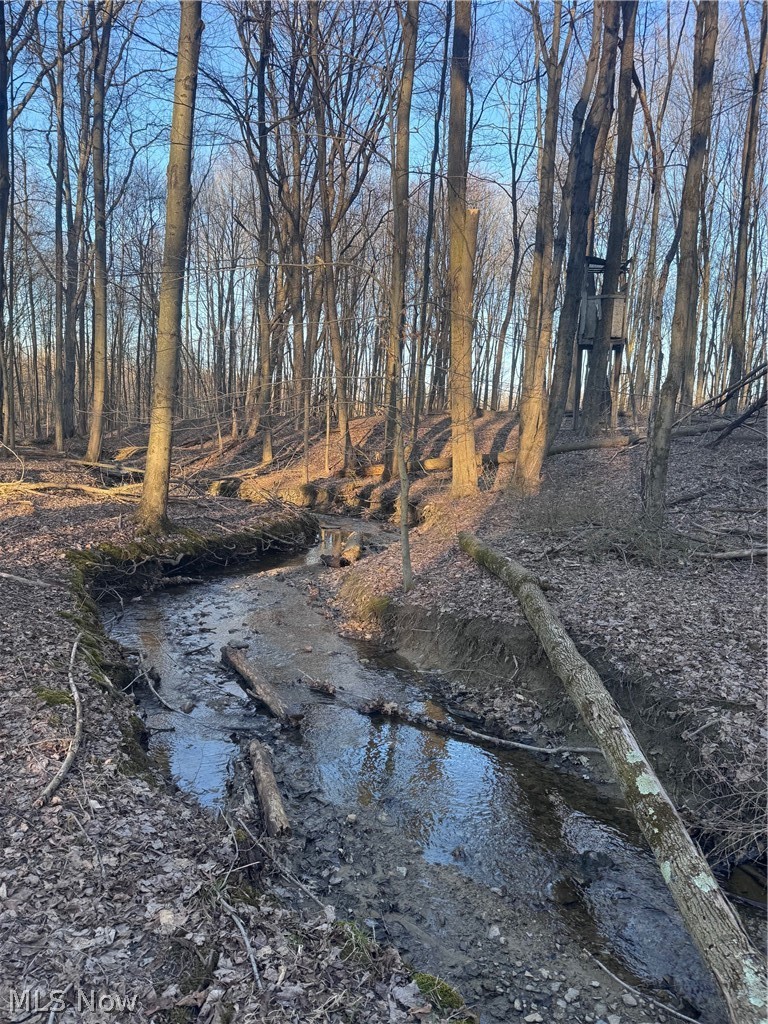 V/L White Road, Rock Creek, OH - Photo 5