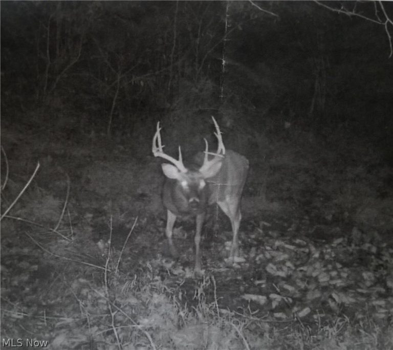 Dennis Road, Zanesville, OH - Photo 6
