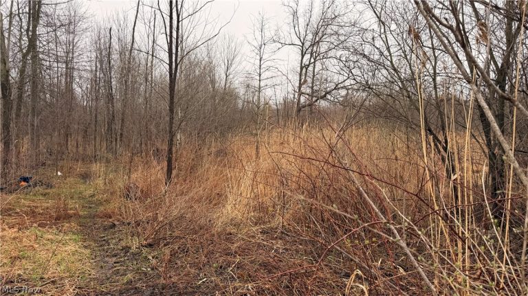 Ninevah Road, Geneva, OH - Photo 6