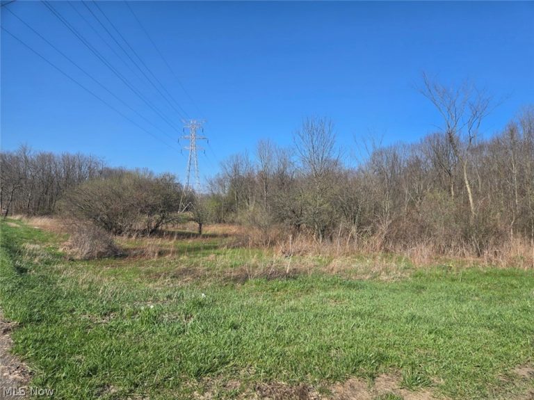 11154 Shetler Avenue, Bolivar, OH - Photo 3