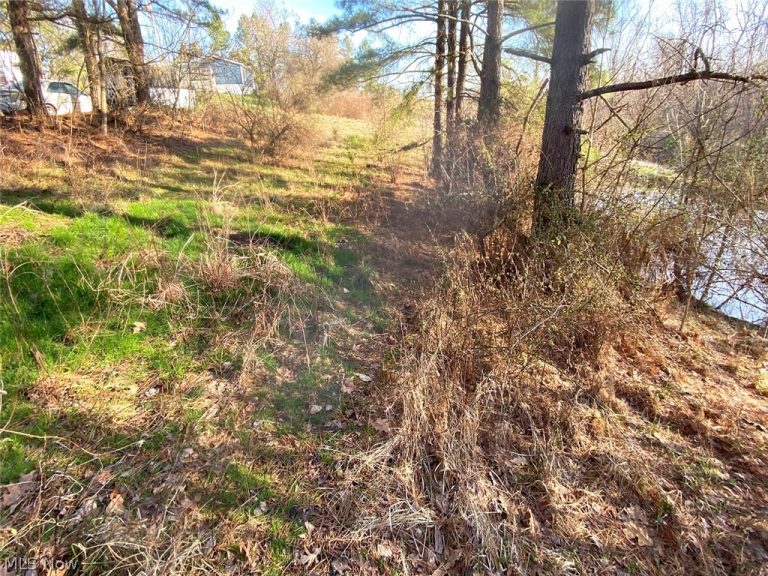 Twp Rd 318 Road, Dexter City, OH - Photo 6