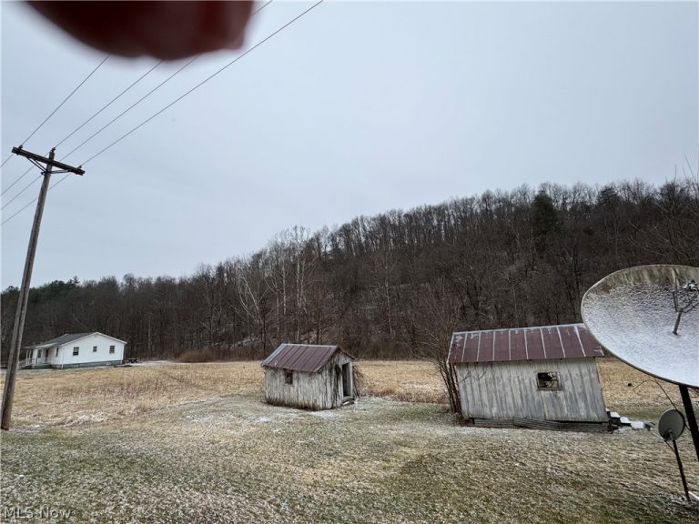 35515 State Route 800, Sardis, OH - Photo 5