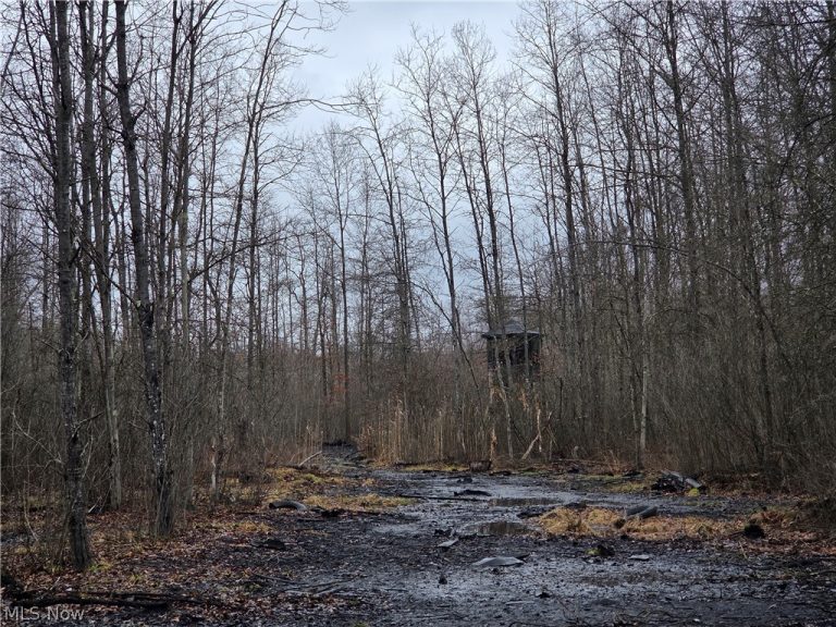 Plank Road, Orwell, OH - Photo 7