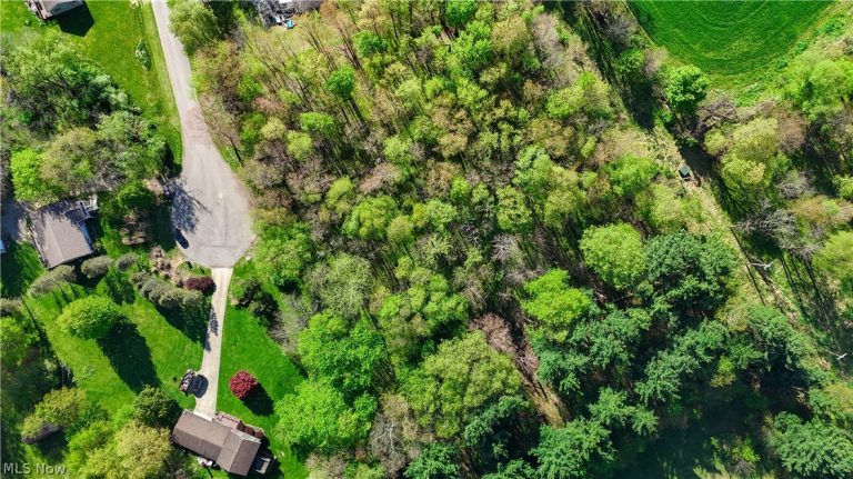 Orchard View Court #Lot 167, Howard, OH - Photo 3