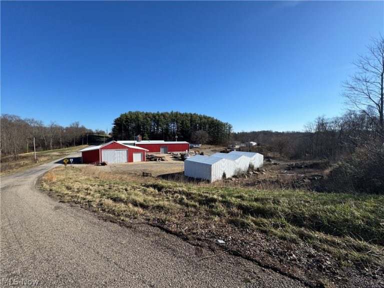 3810 Tick Ridge Road, Vincent, OH - Photo 4
