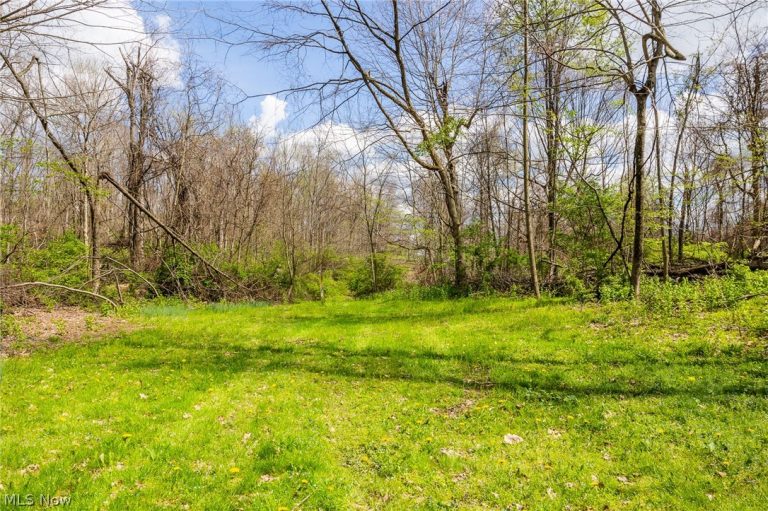 105 Hanley Road, Mansfield, OH - Photo 6