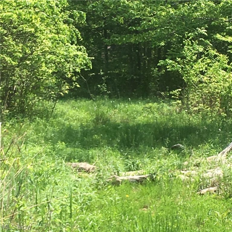 Fowlers Mill Road, Chardon, OH - Photo 2