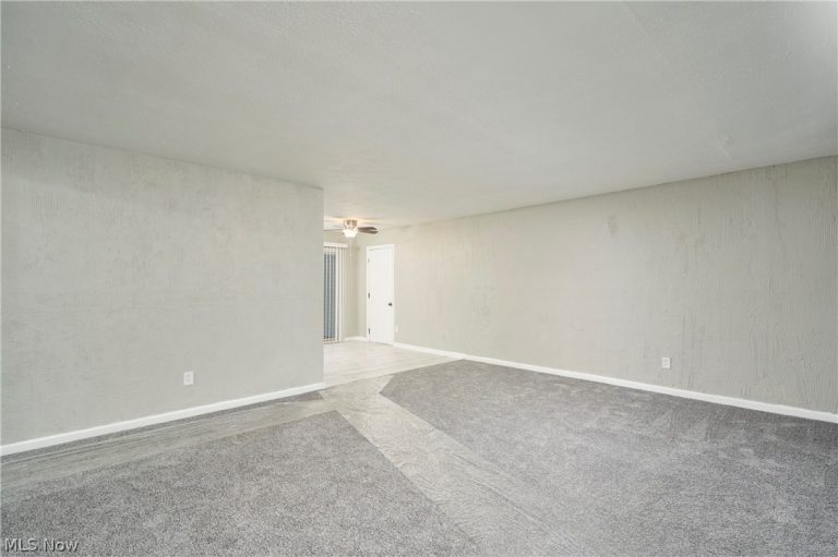 6255 Randolph Road, Bedford Heights, OH - Photo 6