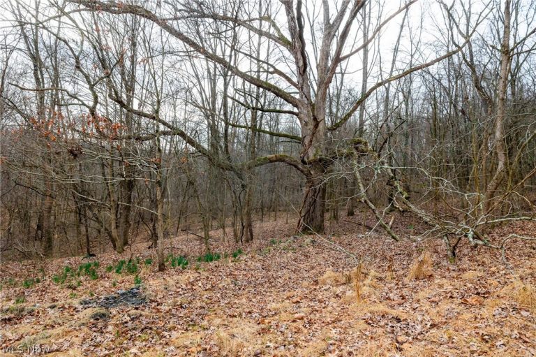 10445 Shannon Road, Frazeysburg, OH - Photo 5