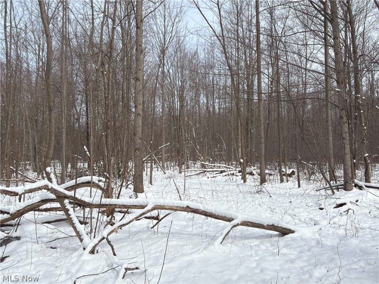 Munson Hill Road, Ashtabula, OH - Photo 2