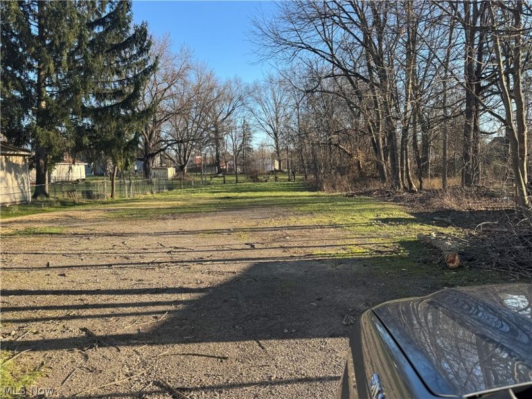 1145 Stiles, Warren, OH - Photo 4