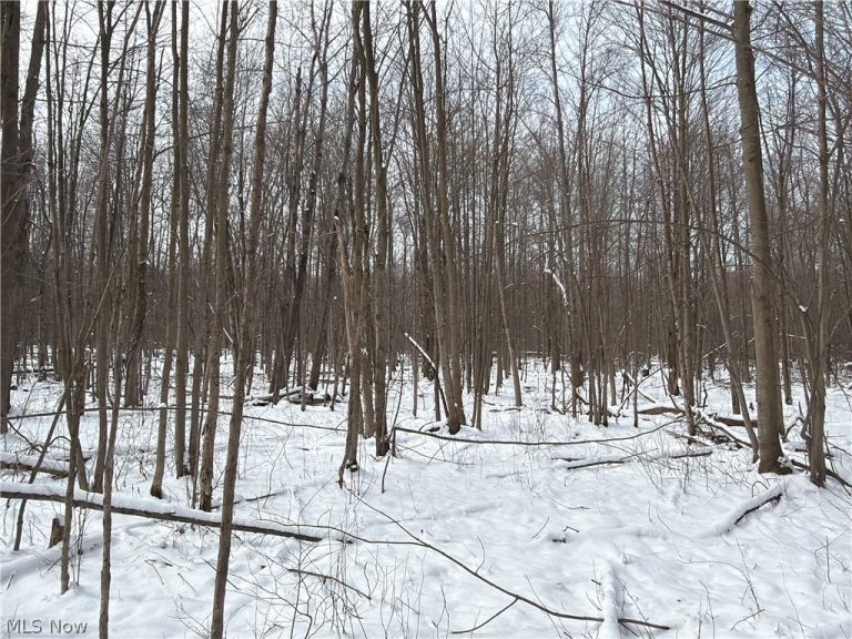Munson Hill Road, Ashtabula, OH - Photo 5
