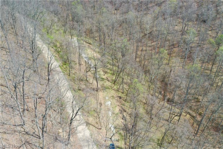 1536 Jakes Fork Road, Arnoldsburg, WV - Photo 2