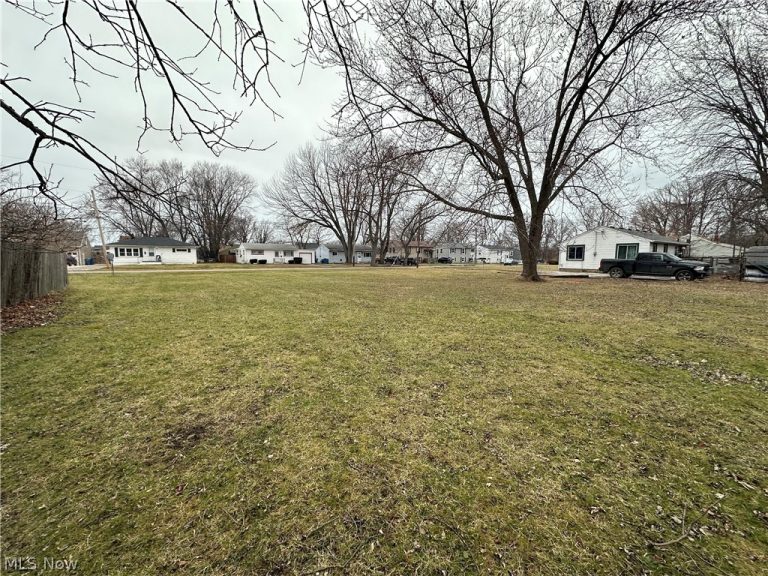 V/L Maryland Avenue, Lorain, OH - Photo 2