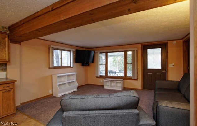 864 Shadybrook Drive, Akron, OH - Photo 3