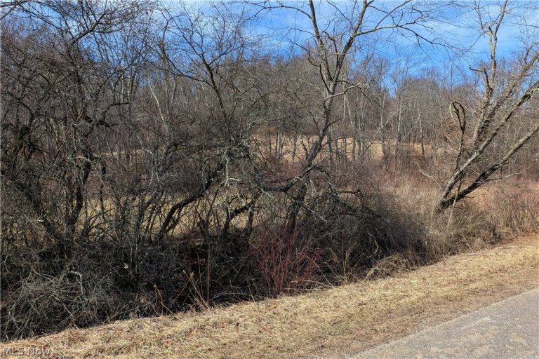 Stonecreek Road, Newcomerstown, OH, 43840
