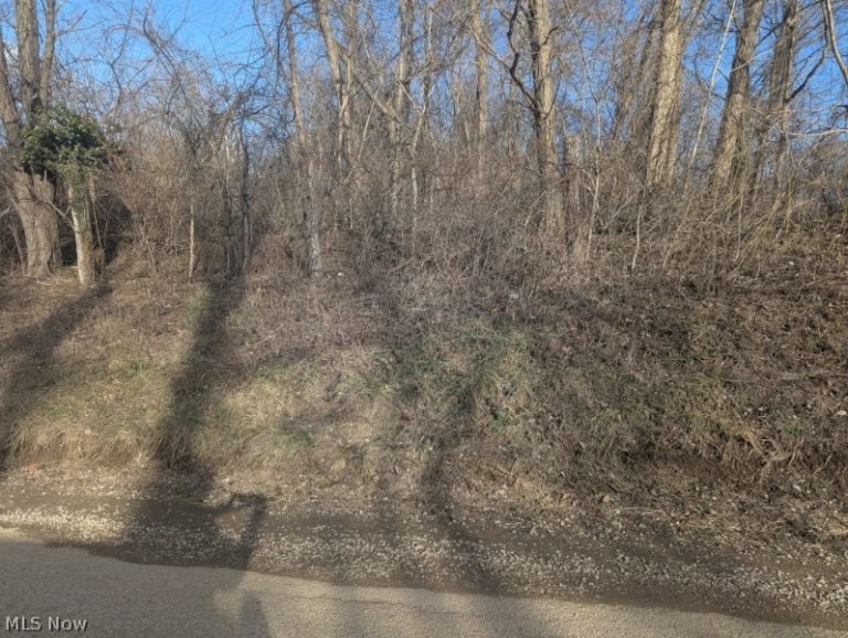 Township Road 215, New Lexington, OH - Photo 2