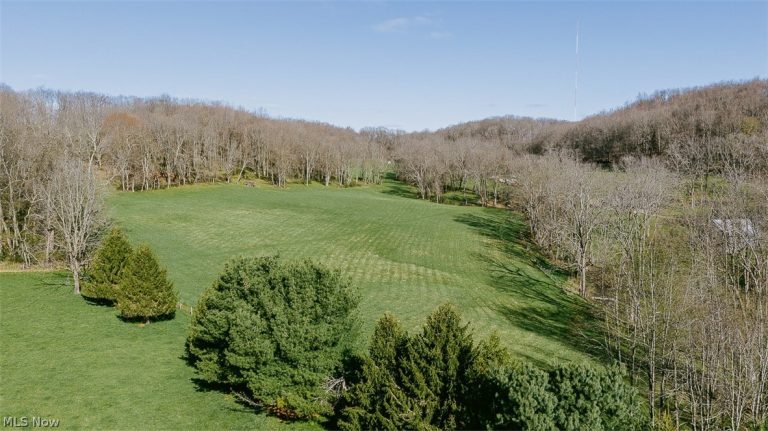 7541 Township Road 462, Loudonville, OH - Photo 5