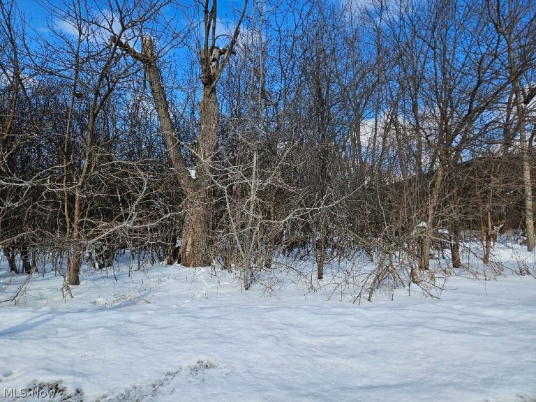 Miles Road, Cleveland, OH - Photo 4